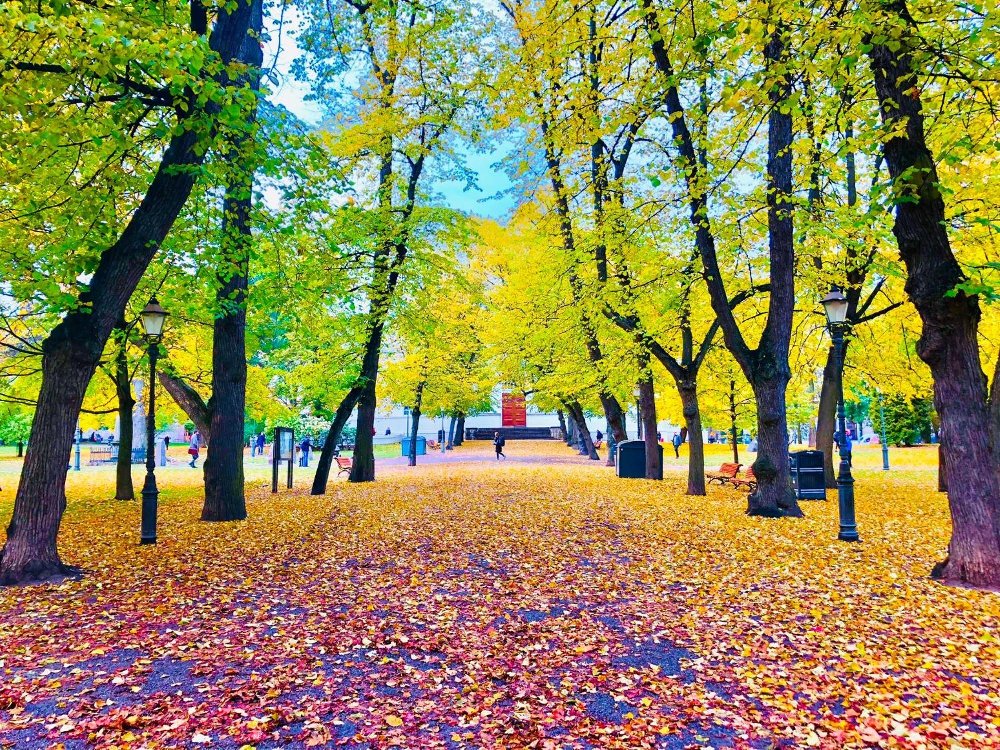 Scandinavian Home In Heard City Helsinki Eksteriør billede